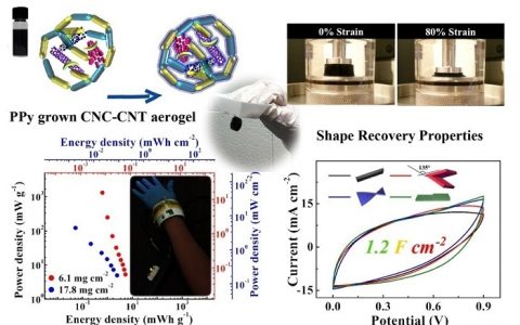 Adv. Funct. Mater. 具有形状记忆功能的超轻可穿戴超级电容器
