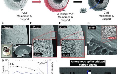 Science:利用碳分子筛薄膜对有机液体分子进行反渗透分离