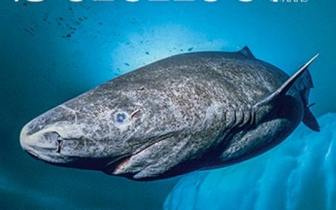 Nature/Science 最新文献快讯专题 8月第2周