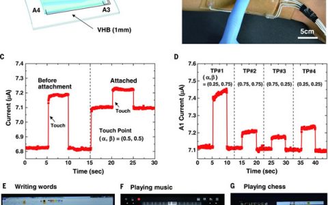 Science重磅：高弹性透明离子触摸面板