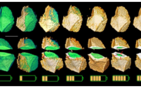 五个维度全面呈现——化学地图探秘电池内部反应