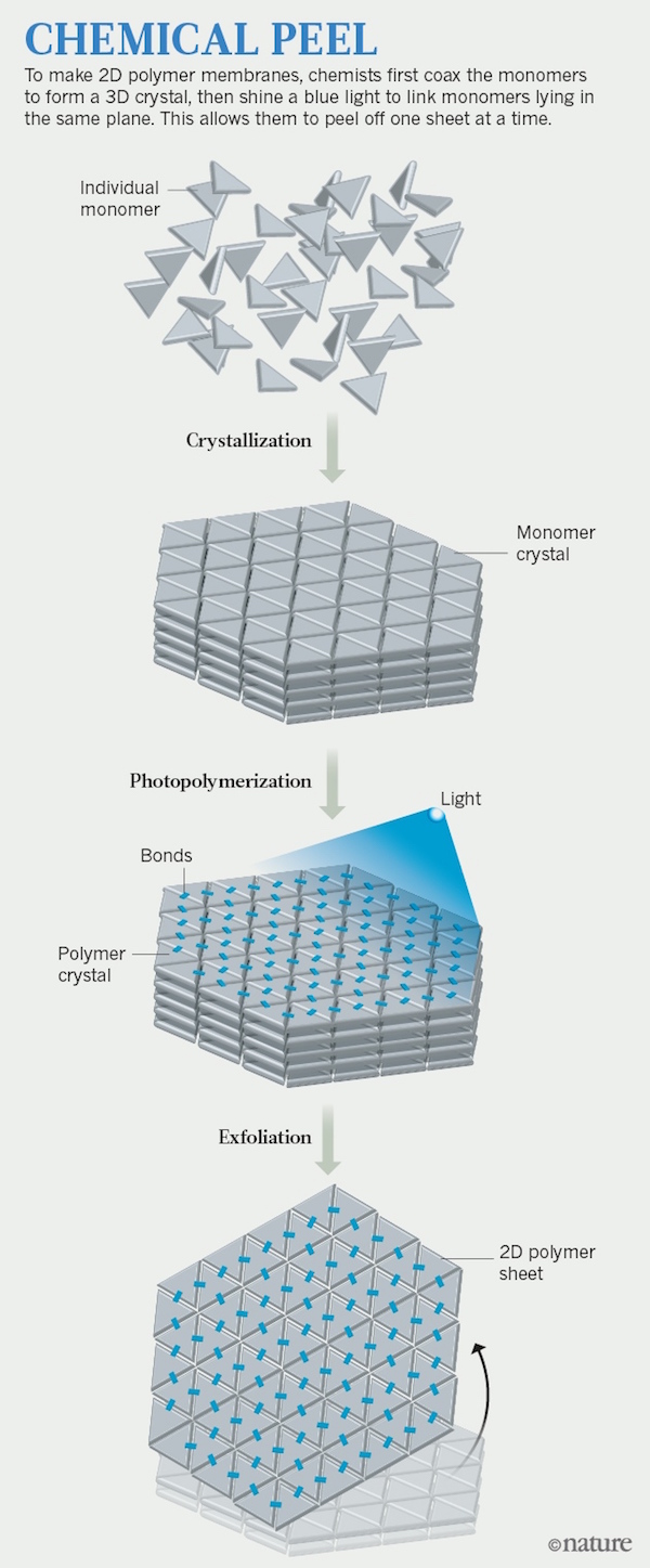 Polymer-graphic-expanded-online