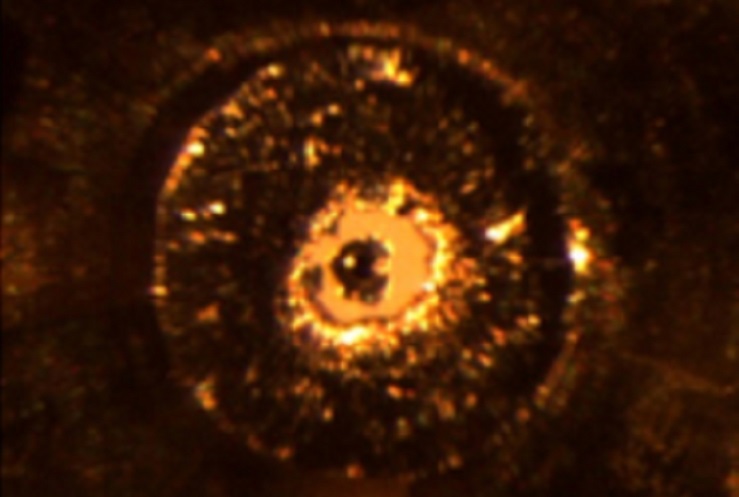 WZOSZG8476JJSCF43_0JU