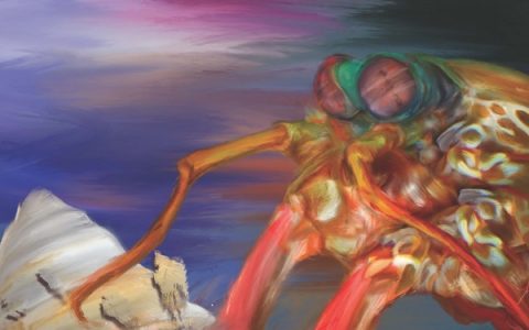 Adv. Mater. 最新文献快讯专题Volume28 Issue32