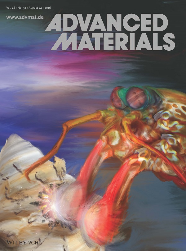 Yaraghi_et_al-2016-Advanced_Materials