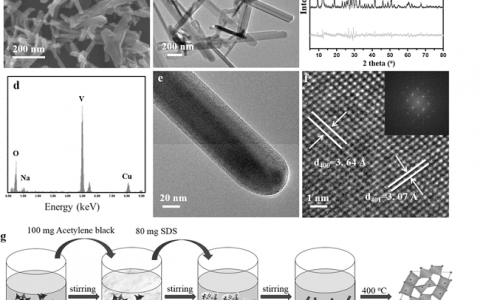 Adv. Funct. Mater. 钒酸钠氧化物纳米棒电极原位捕捉离子化氧