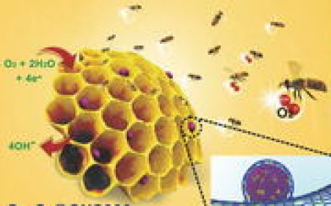 顶刊动态 | AM/JACS等金属有机框架(MOF)材料最新研究进展精选【第8期】