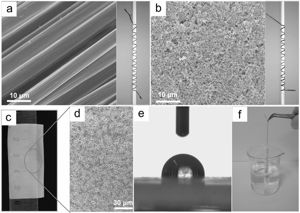 adma201602800-fig-0002