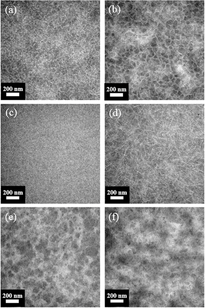 adma201602857-fig-0005