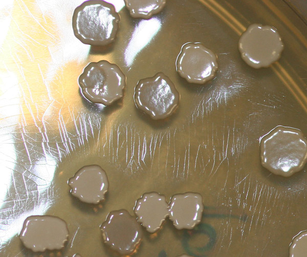 bacteria-graphene-solar-1