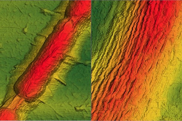 bacteria-graphene-solar-2