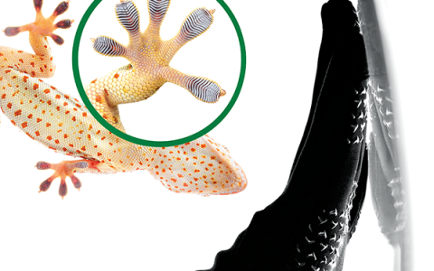 Adv. Mater.最新文献快讯专题(8.10更新)