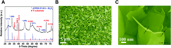 fig1