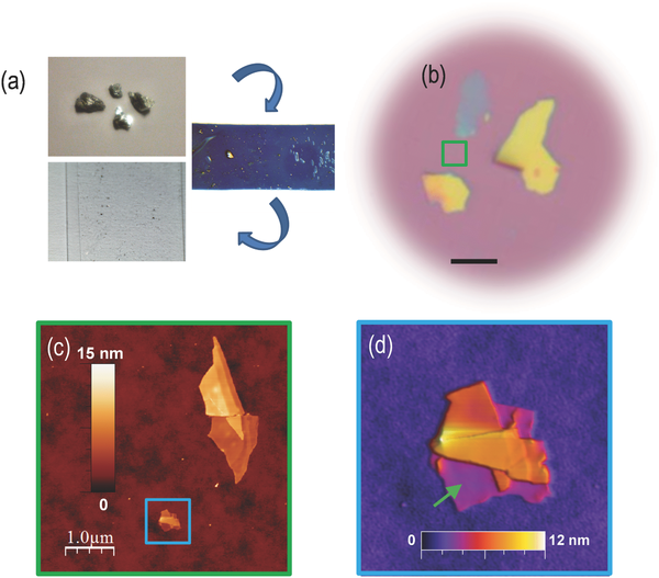 fig3