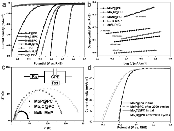 fig3