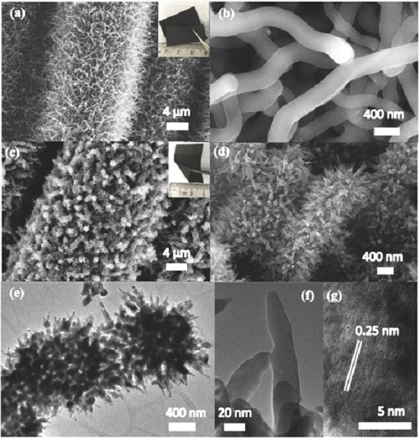 fig4