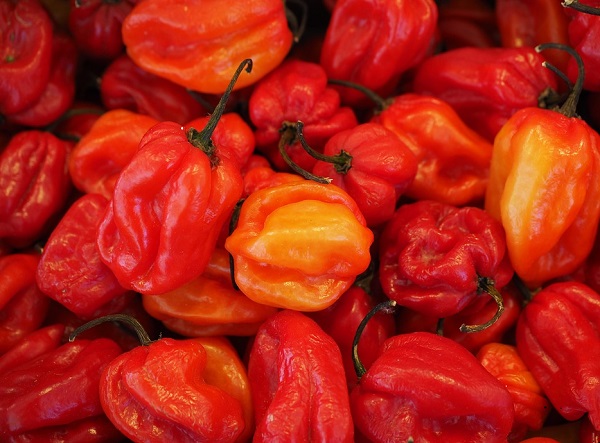 habaneros-499057_960_720
