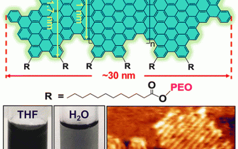 JACS：上海交通大学研发具有良好加工性能的聚环氧乙烷功能化石墨烯纳米带
