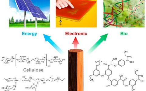 Chem.Rev. 综述:木源生物高分子在绿色电子、生物器件、能源等领域的应用