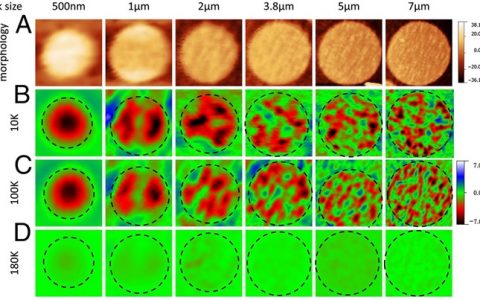 PNAS:在锰氧化物纳米圆盘中实现单相态
