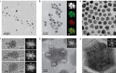 Nature Mater. 杨培东课题组阐述Pt-Ni纳米框架的来龙去脉
