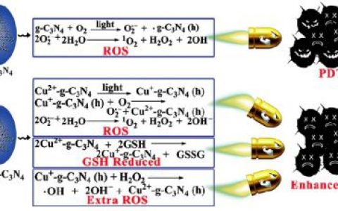 顶刊动态 | Nature子刊/AM等生物材料前沿最新科研成果精选【第18期】