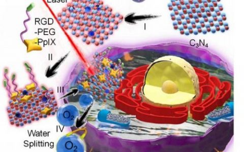 ACS Nano：武大利用碳点修饰C3N4制备裂解水的纳米颗粒提高PDT对肿瘤疗效
