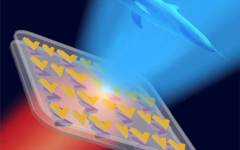 顶刊动态丨Nature子刊/AM等期刊电子材料最新科研成果精选【第20期】