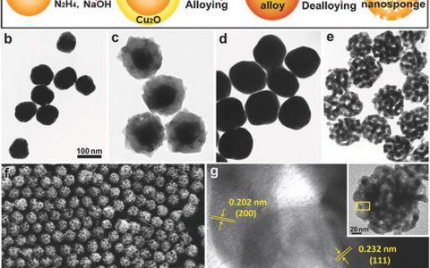 Adv. Mater. 金纳米海绵 一种新型多重响应的化疗-光热治疗药物递送系统