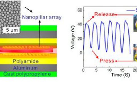 顶刊动态丨Nature子刊/Nano Lett.等电子材料前沿最新科研成果精选【第18期】
