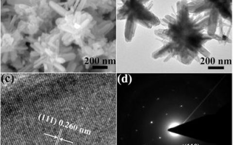 Adv. Funct. Mater. 类海胆结构CoSe2用作高性能钠离子电池负极材料