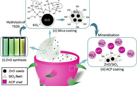 顶刊动态 | Science/AM等期刊生物材料最新科研成果精选【第20期】