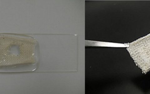 自修复涂层——引领未来时尚潮流的衣服