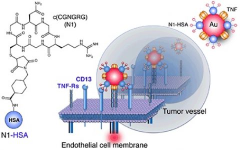 黄金，助力奥运，助力人类健康。