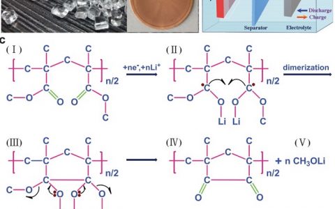 Adv. Energy Mater. 神奇的“有机玻璃”,锂离子电池中显身手