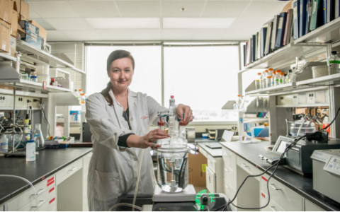 既能分解废弃物又能发电-生物发电时代即将到来