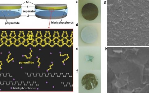 Adv. Mater. 崔屹:黑磷改性隔膜用于限制锂硫电池中的多硫化物