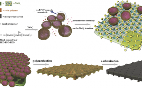 Adv. Mater. 复旦赵东元教授研发具有清晰界面的二维介孔碳/MoS2异质结构用于高性能锂电池