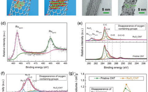 Adv. Mater.:锂-氧电池阴极表面诱导和溶剂化介导的微米级Li2O2的循环过程