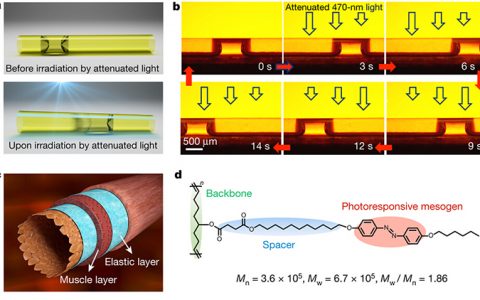 复旦大学Nature革新之举：光控微流体新技术！（附央视报道视频）
