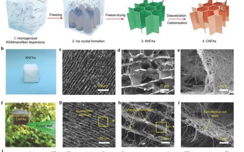 Adv. Mater. 东华大学研发超弹性和高压力敏感性超轻生物质衍生碳纳米纤维气凝胶