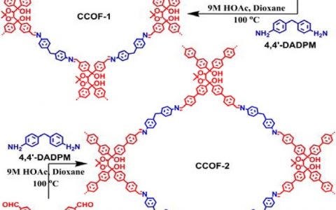 JACS：手性2D多孔共价有机框架（COFs）的多相不对称催化