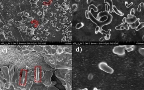 听说锂空气电池研究又有了新进展?!