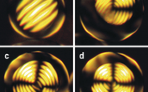 顶刊动态 | Angew/Macromolecules等高分子材料前沿最新科研成果精选【第19期】