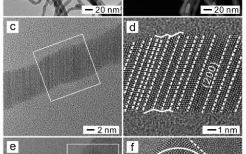 Nano Lett.:含有高密度缺陷位点的银纳米线的合成