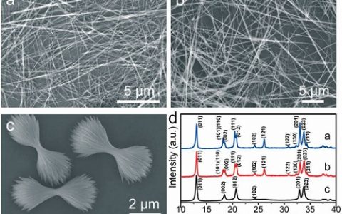 顶刊动态 | Science/Nature子刊等纳米材料前沿最新科研成果精选【第20期】