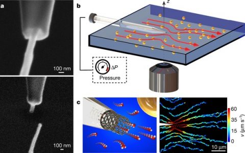 Nature:碳纳米管中的半径依赖滑移流