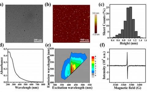 ACS Nano:石墨烯量子点的抗/助氧化性能研究