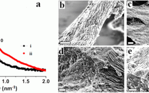 赵东元JACS:新方法制备有序介孔碳用于超灵敏氨气传感器