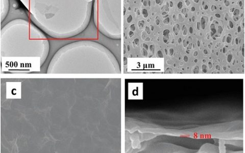 Energy Environ. Sci.:天津大学研究人员在氧化石墨烯薄膜研究中取得新进展